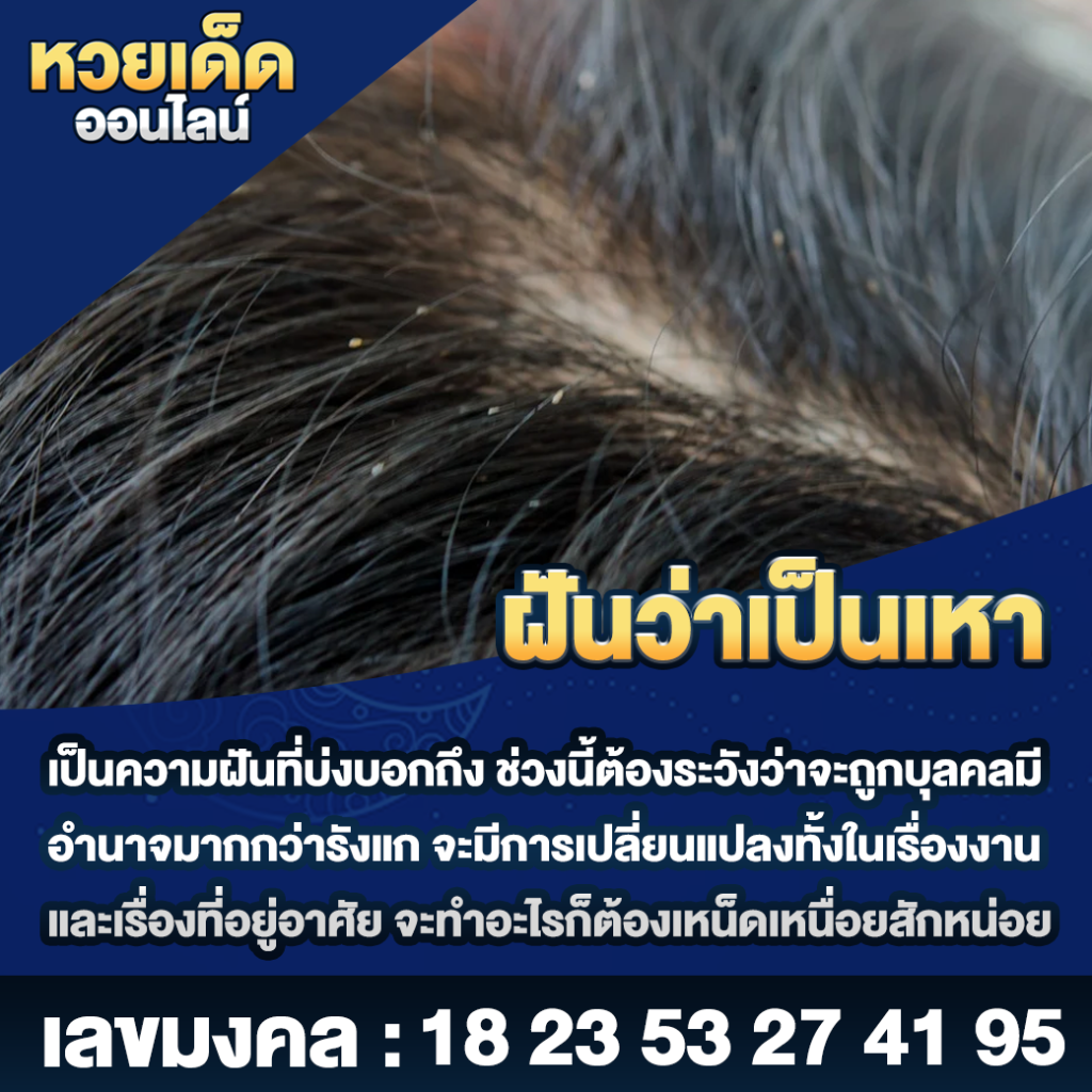 ฝันว่าเป็นเหา